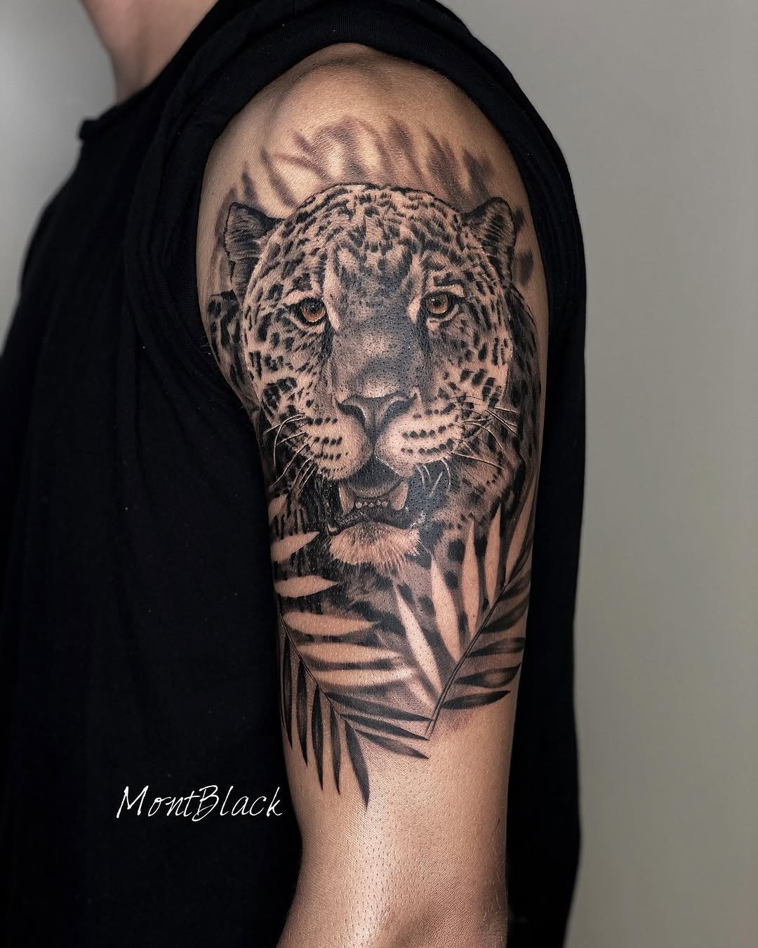 Animal