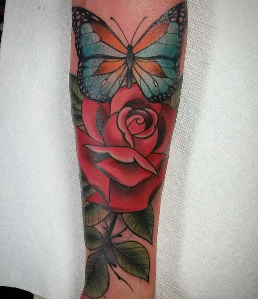 Animal, Nature, Flower