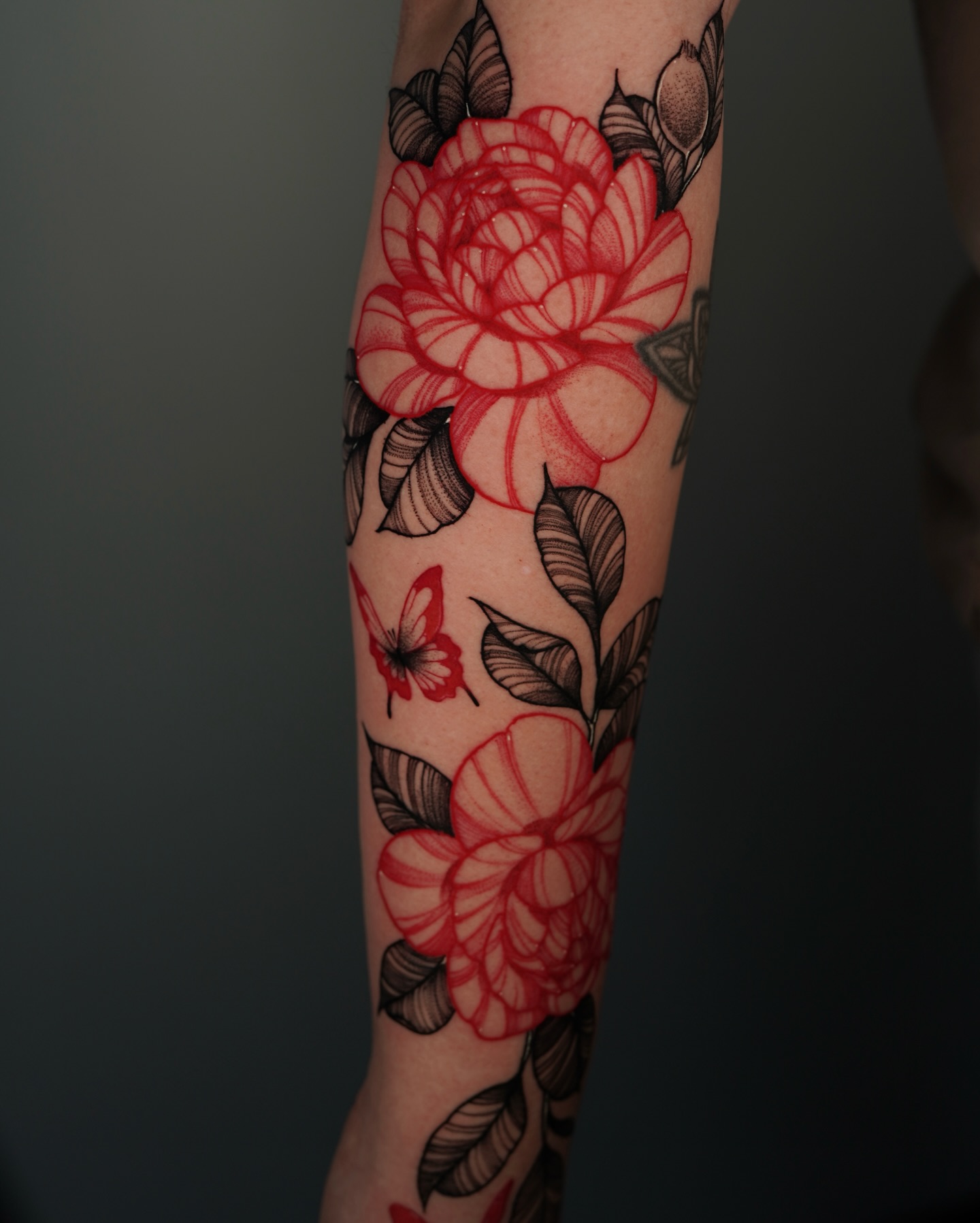 Animal, Nature, Flower