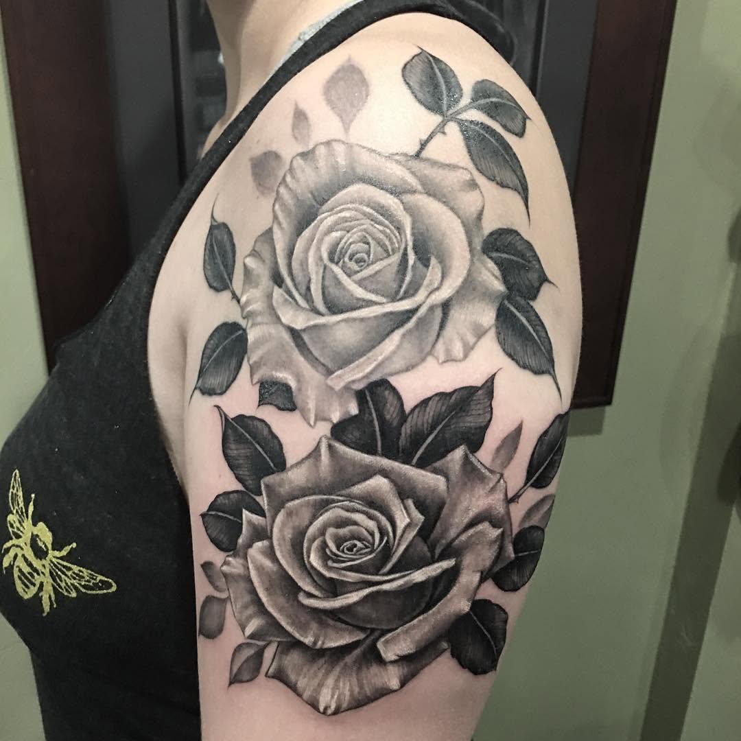 Flower, Rose, Nature