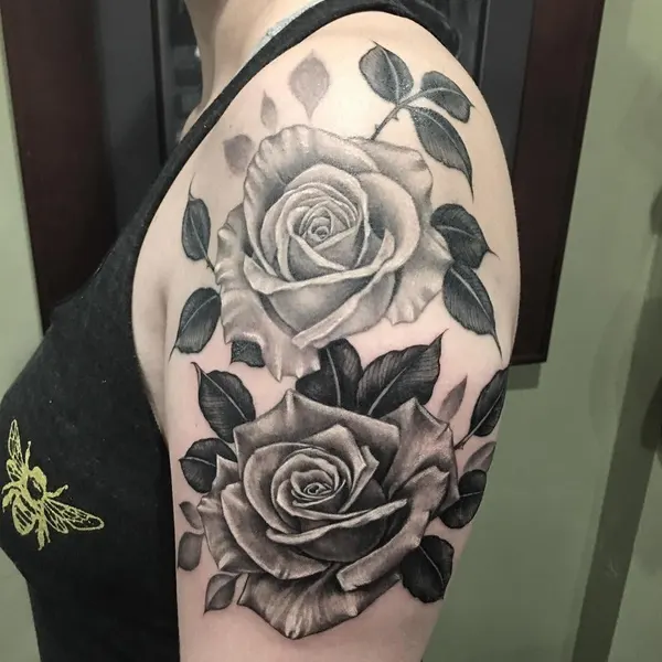 Flower, Rose, Nature