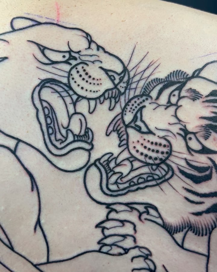 Tiger