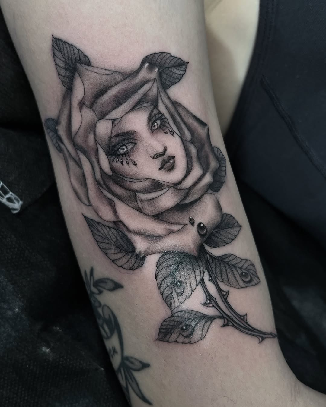 Flower, Rose