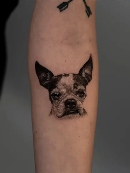 Animal