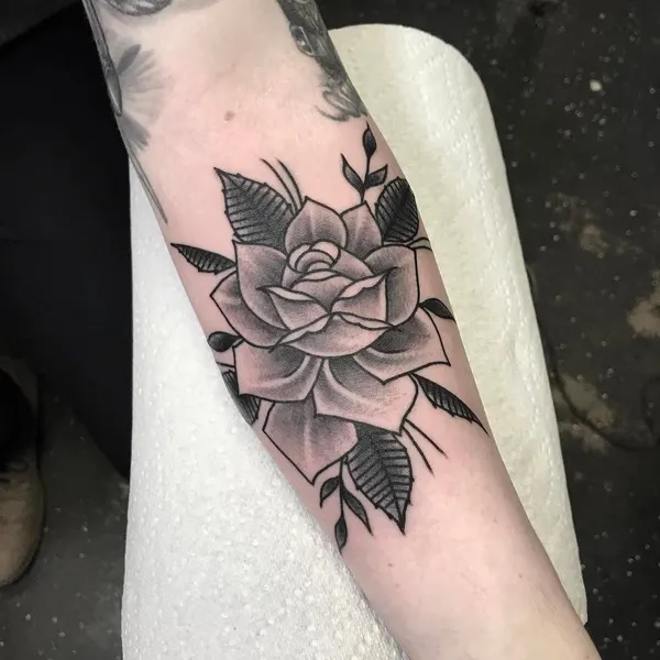 Flower, Rose