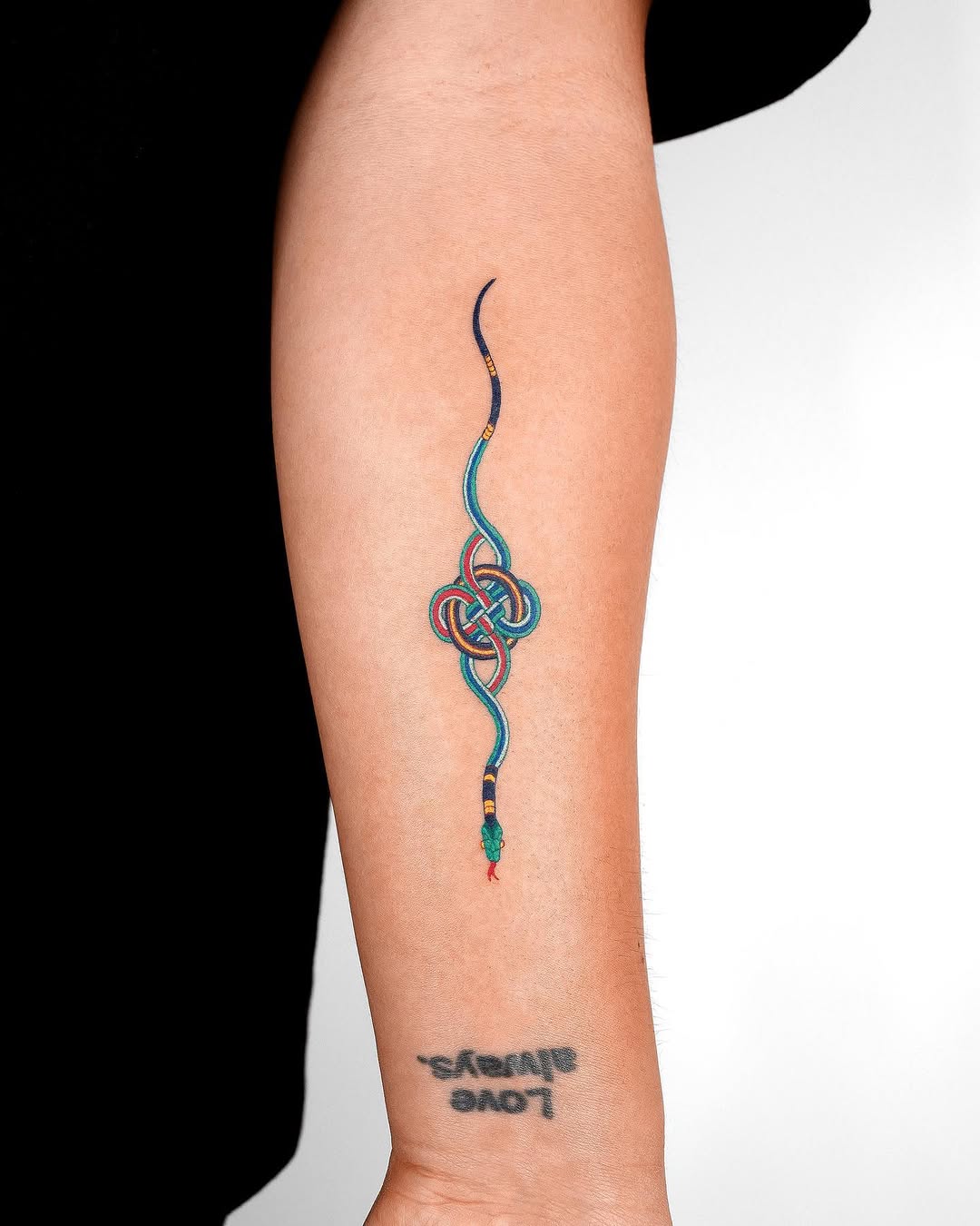 nobodytattoo