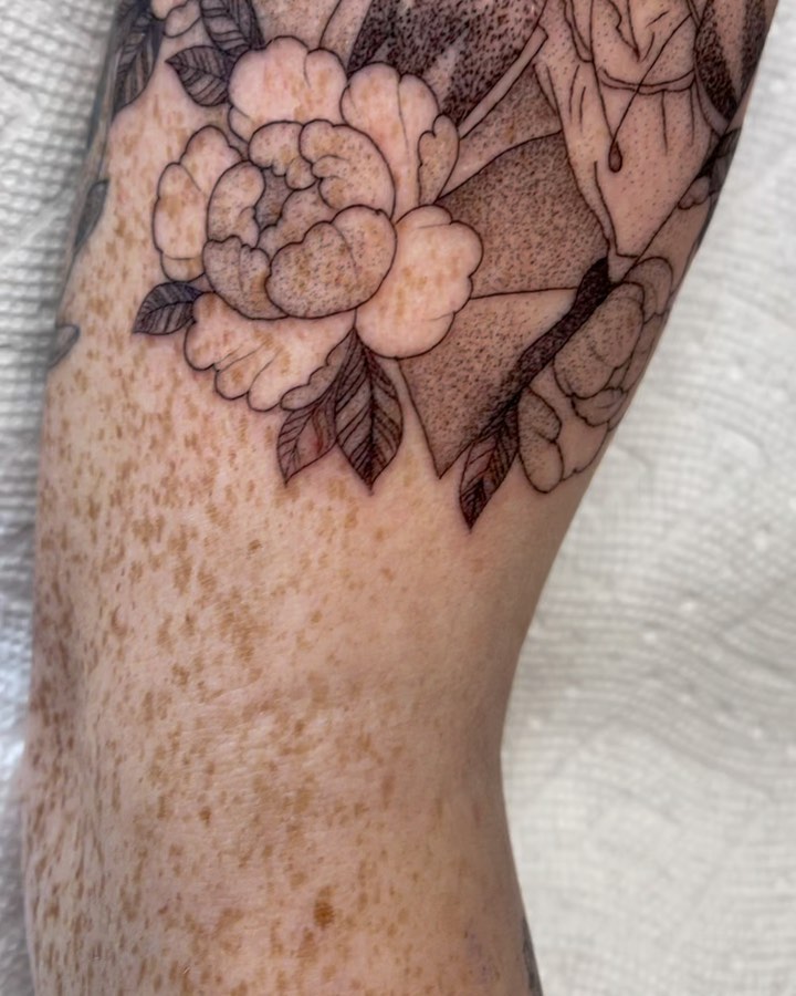 Flower, Rose