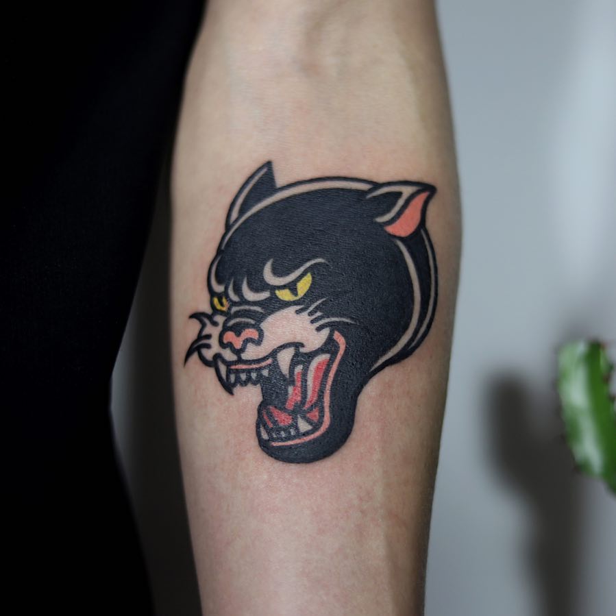 Animal, Tiger