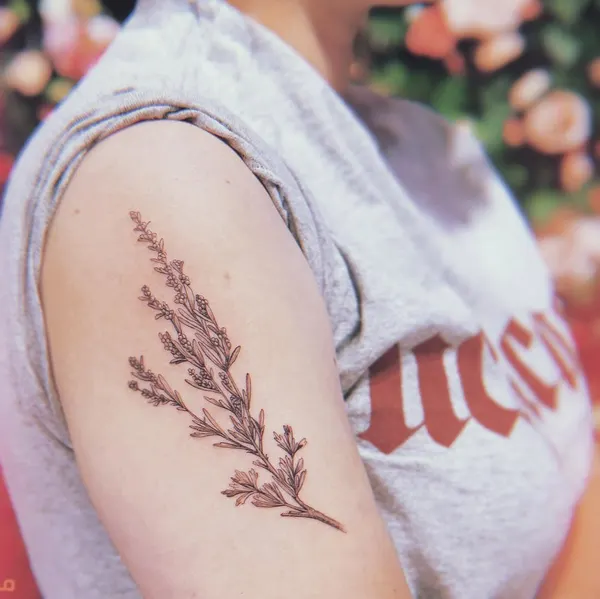 Flower, Rose, 풀
