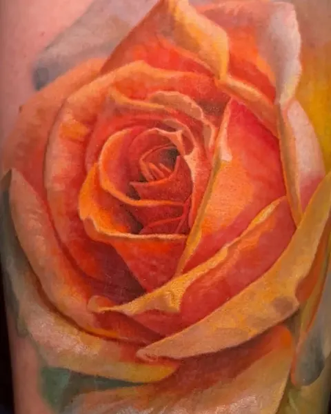 Flower, Rose