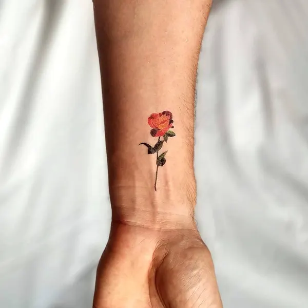 Flower, Rose