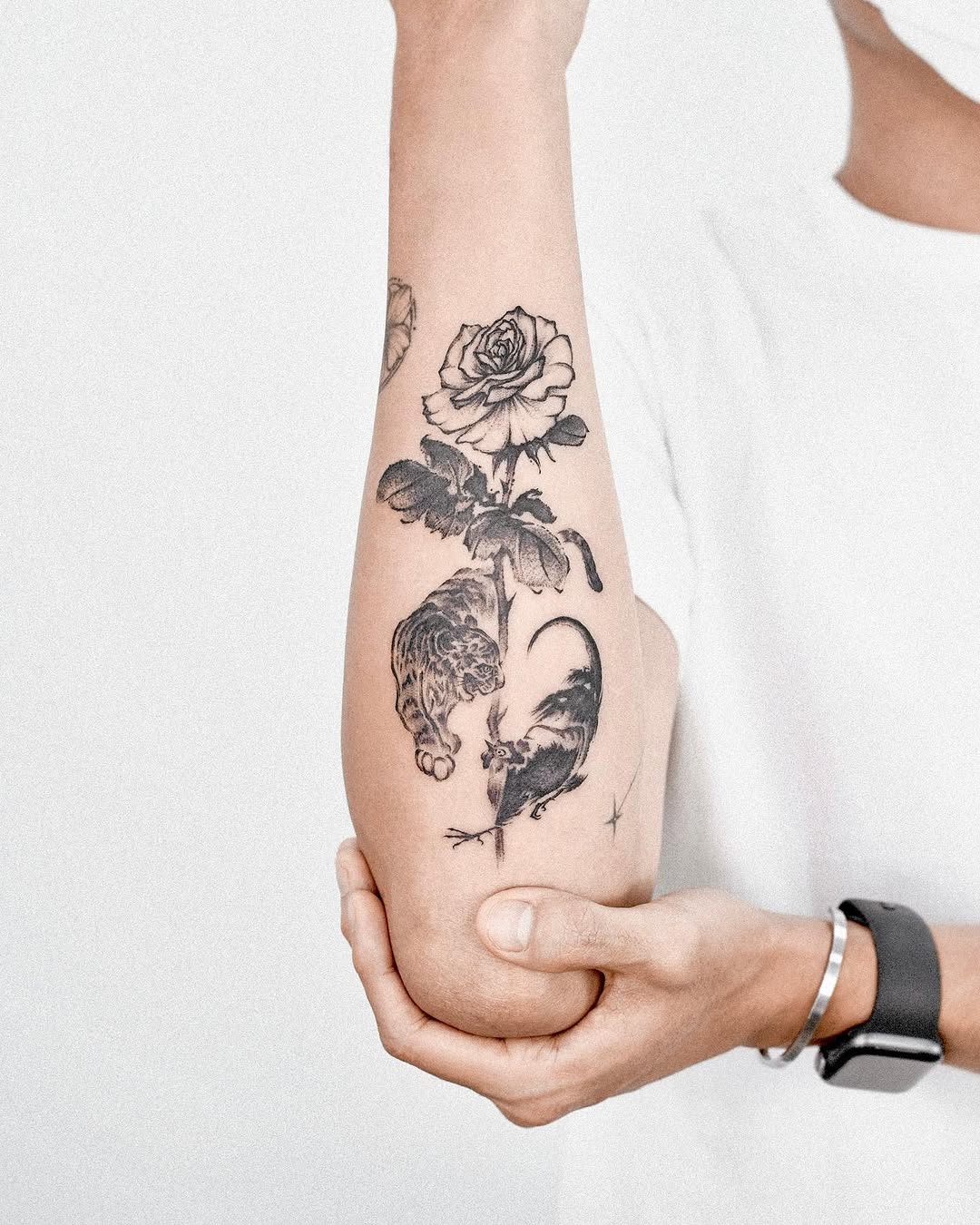 Flower, Rose