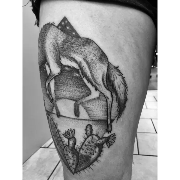 Animal
