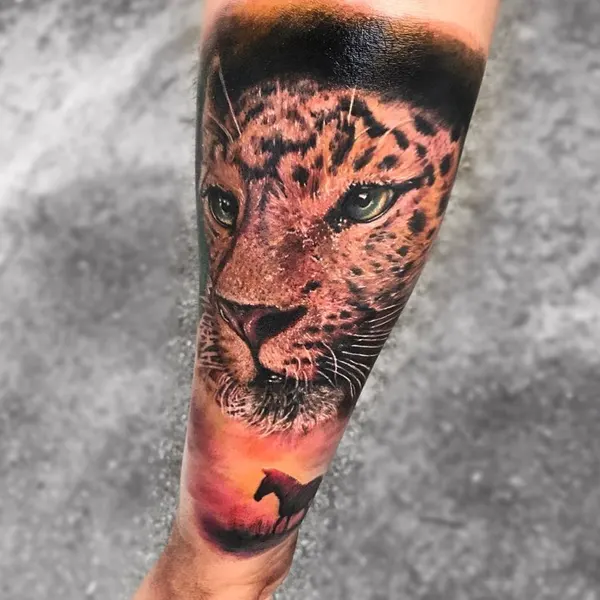 표범, Animal
