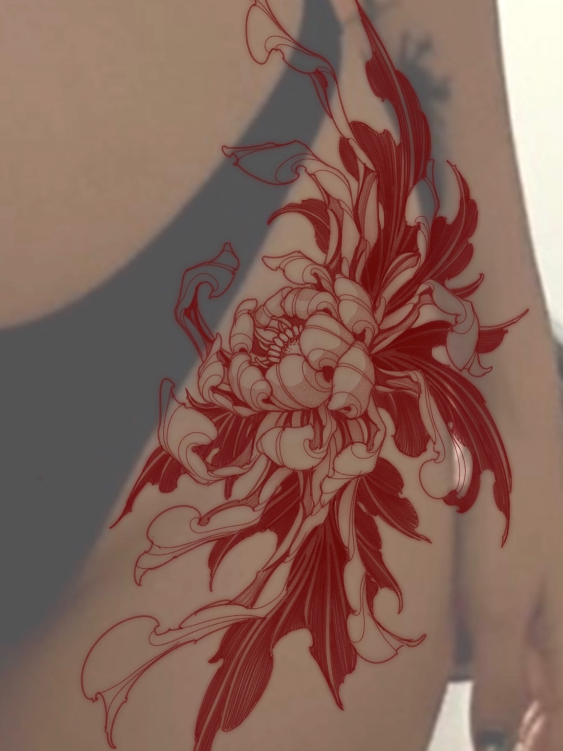 Flower, Rose
