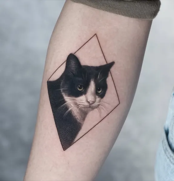 Animal