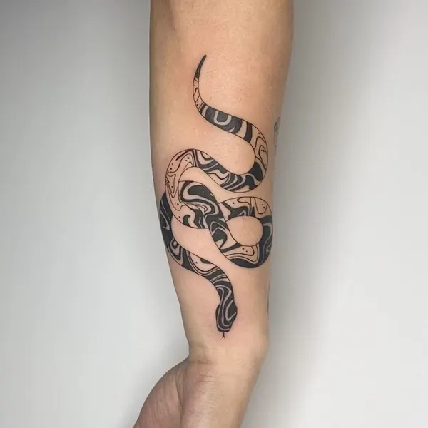 Dragon, Snake