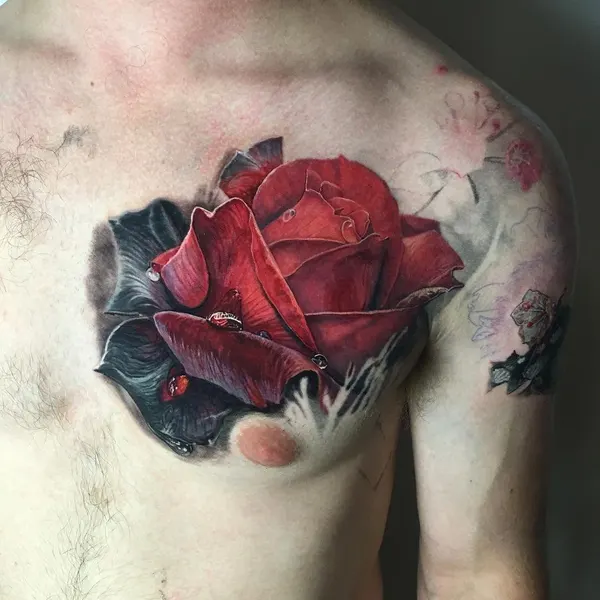Flower, Rose, Nature