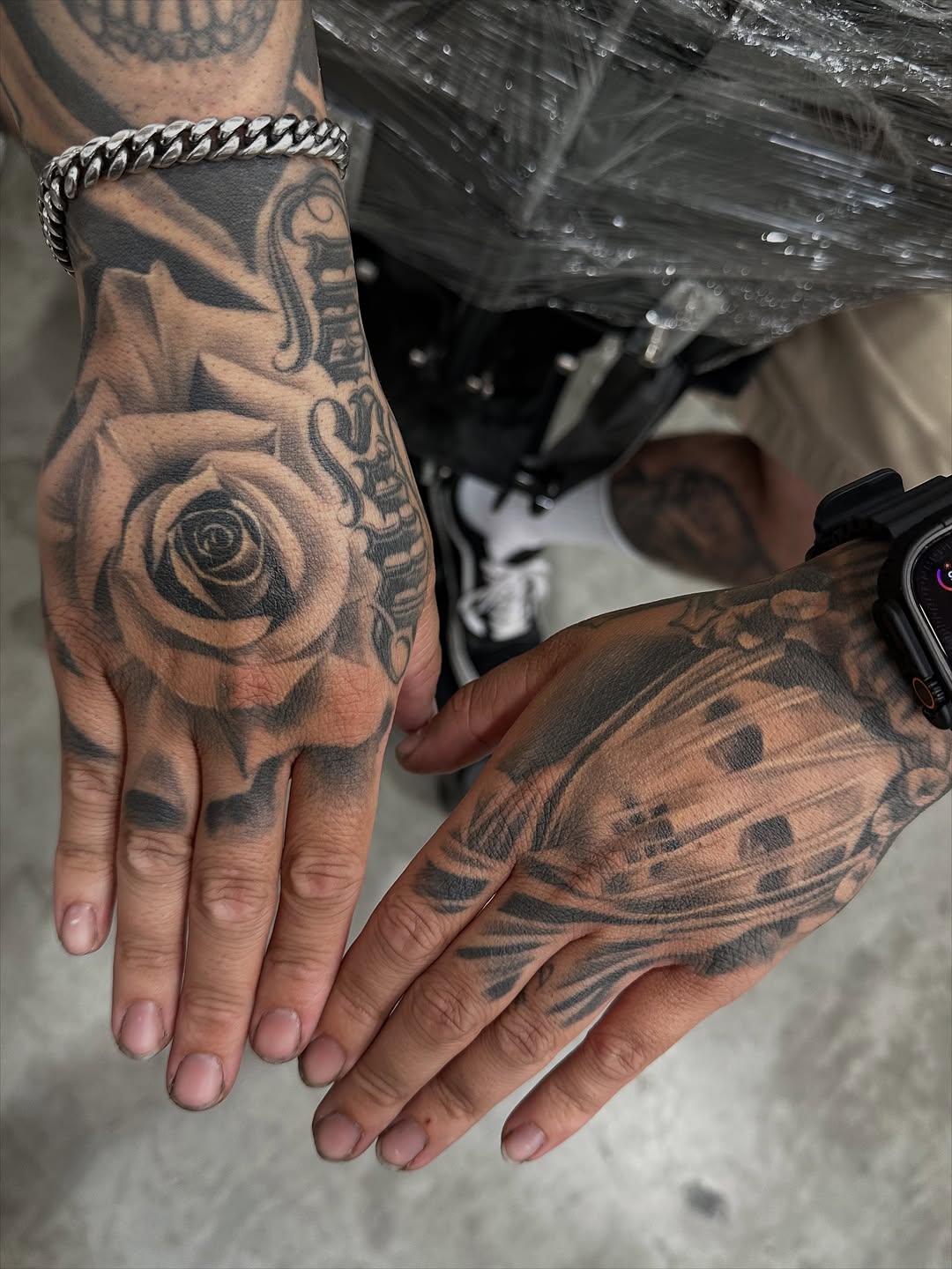 Flower, Rose