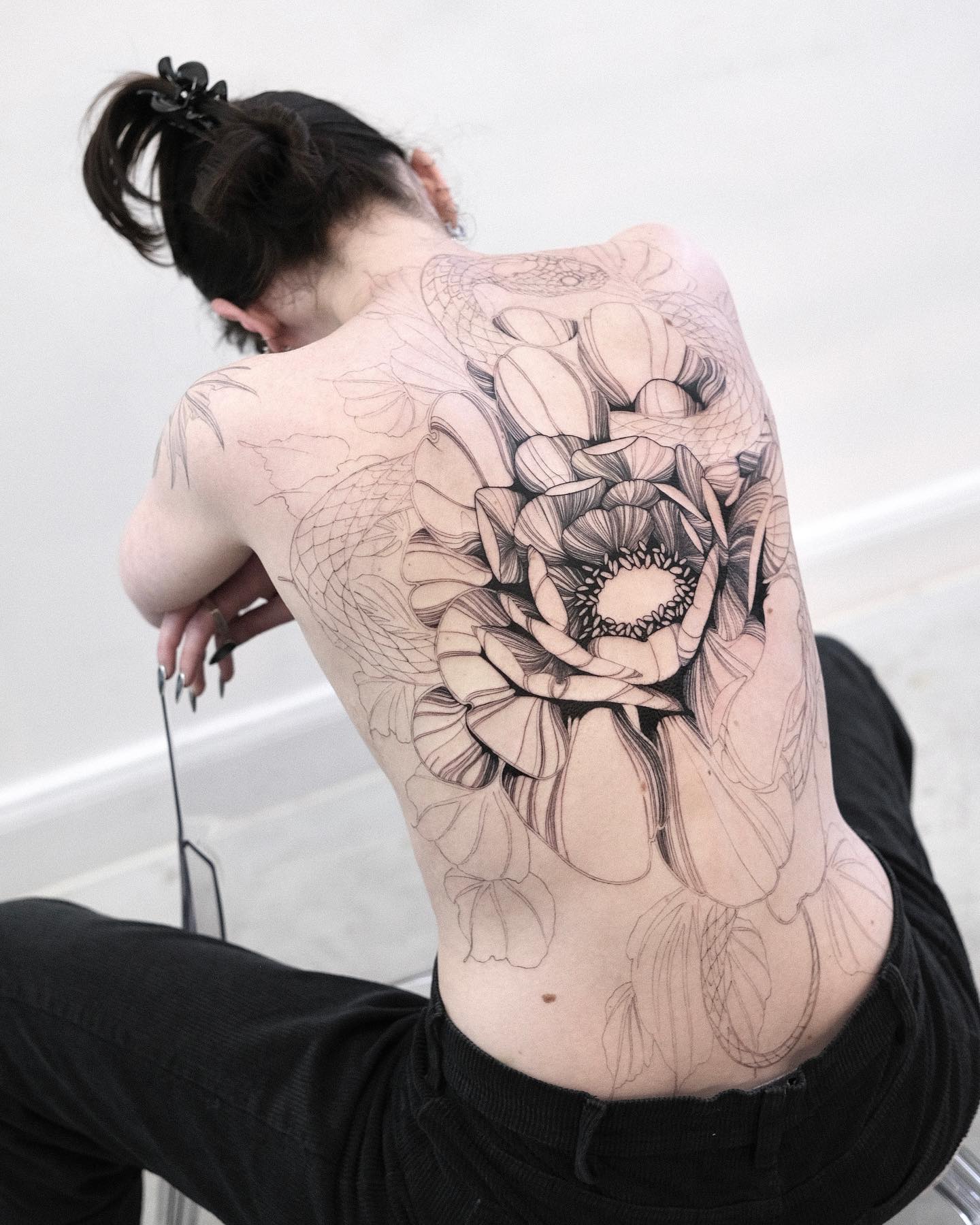 Flower, Nature, Rose