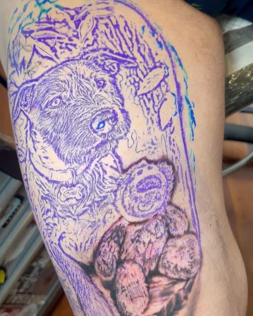 Animal