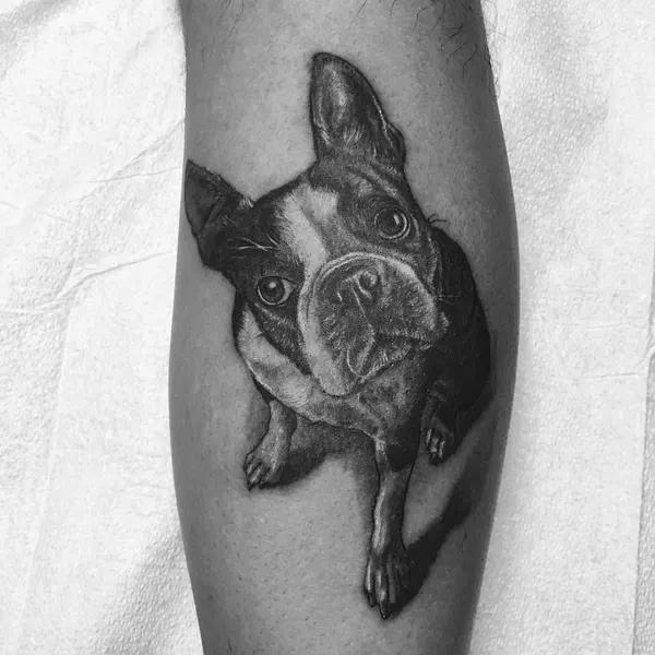 Animal