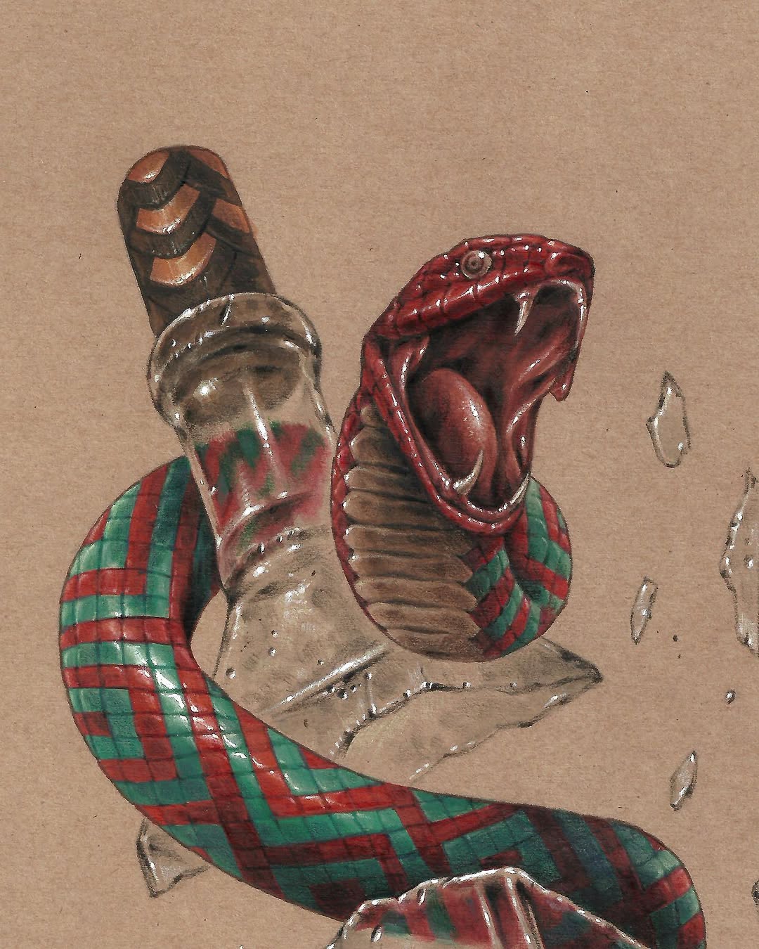 Animal, Snake