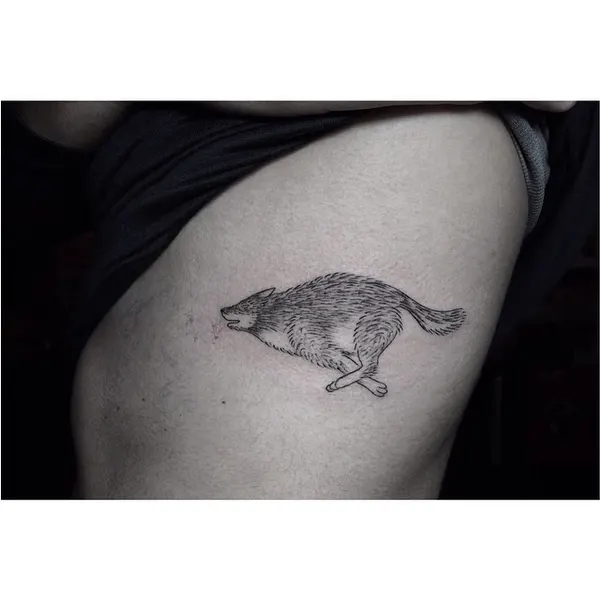 Animal, 악어, 바다거북