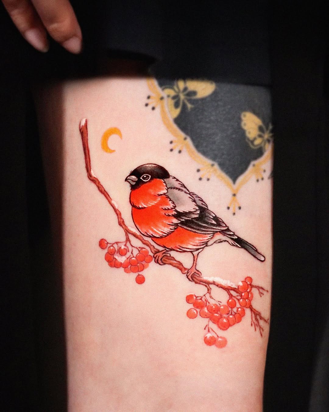 Animal