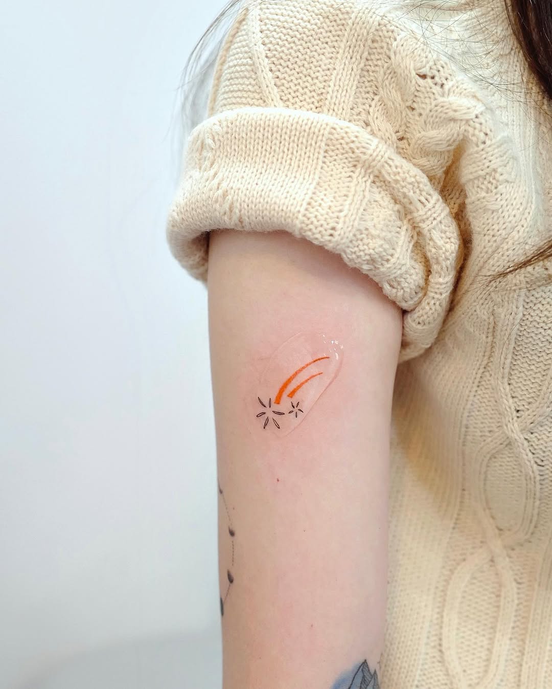 Nature, Mini
