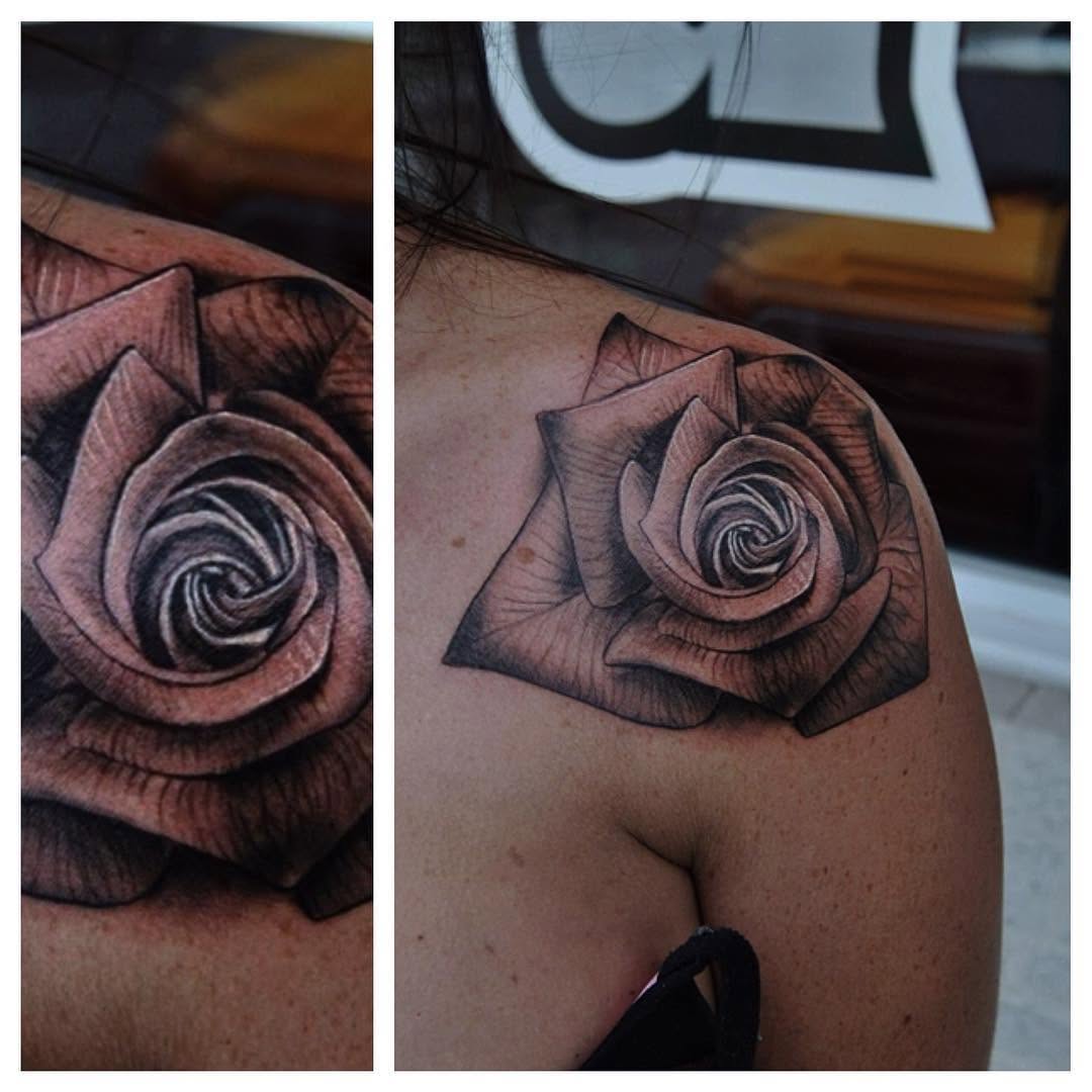 Flower, Rose, Nature