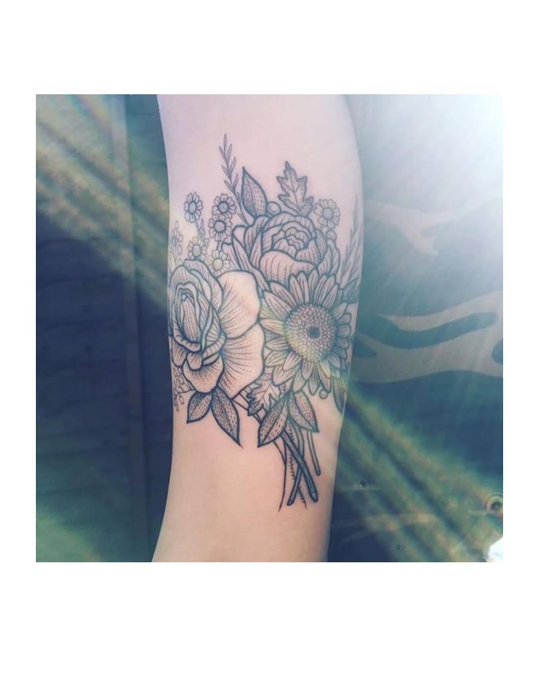 Flower, Rose