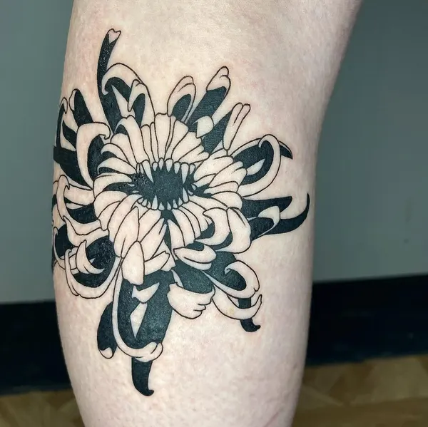 plantsnpokes