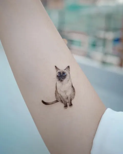 soltattoo