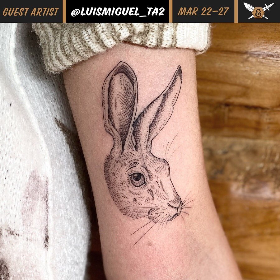 Animal