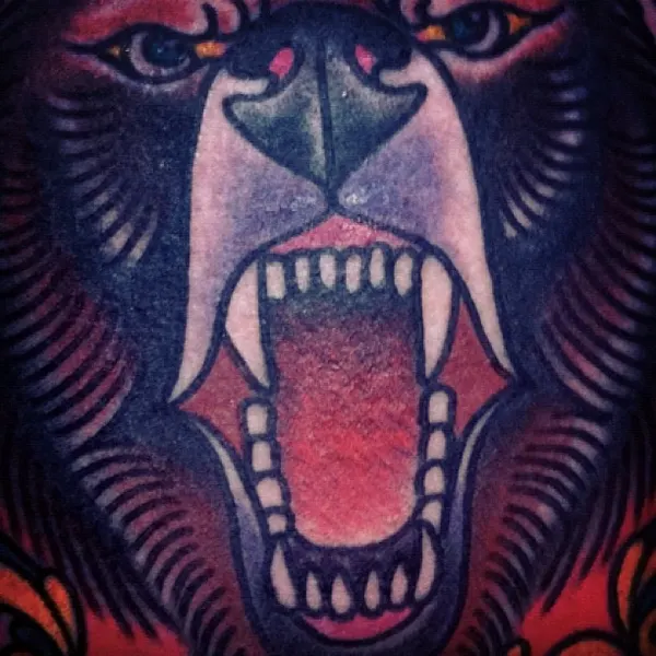 Tiger, Animal