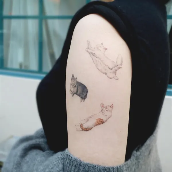 고양이