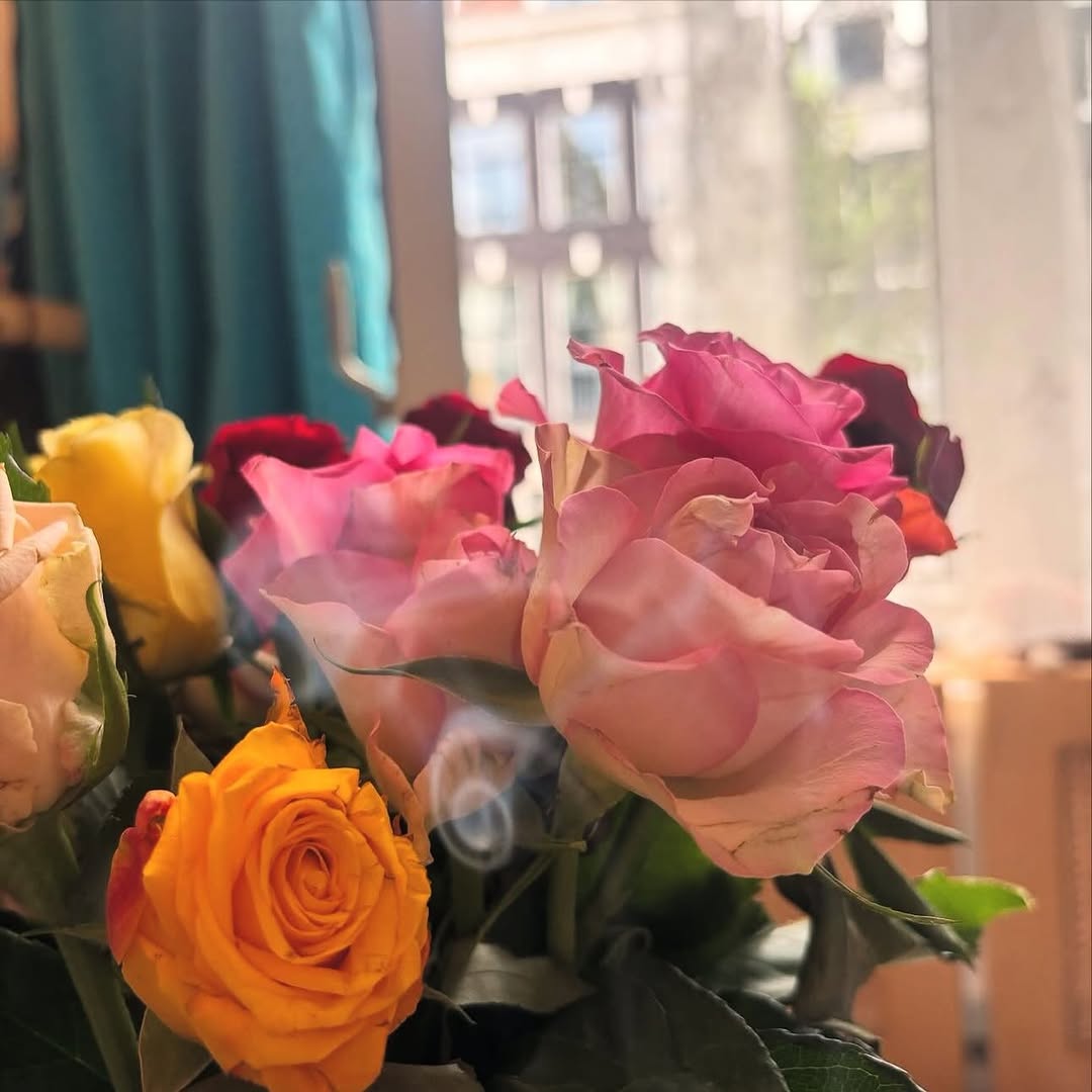 Flower, Rose