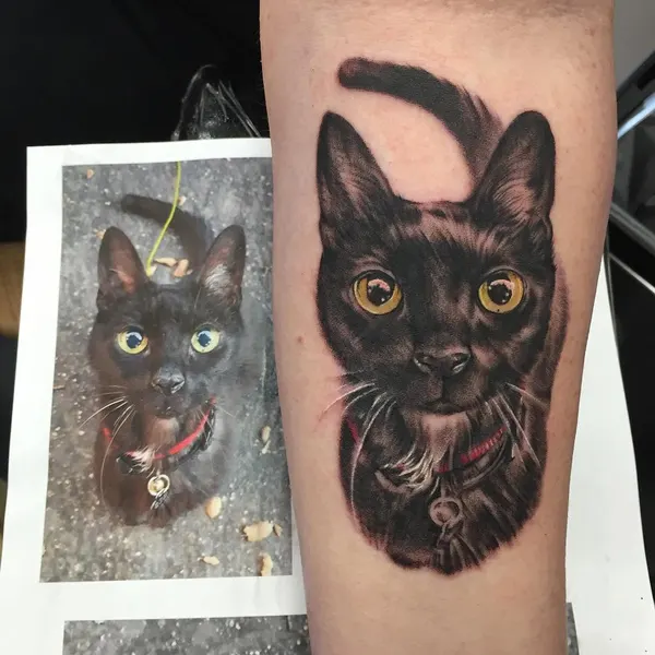 Animal