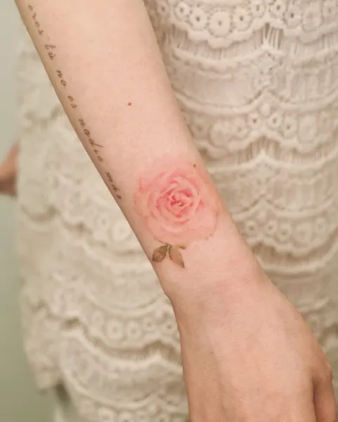 Flower, Rose