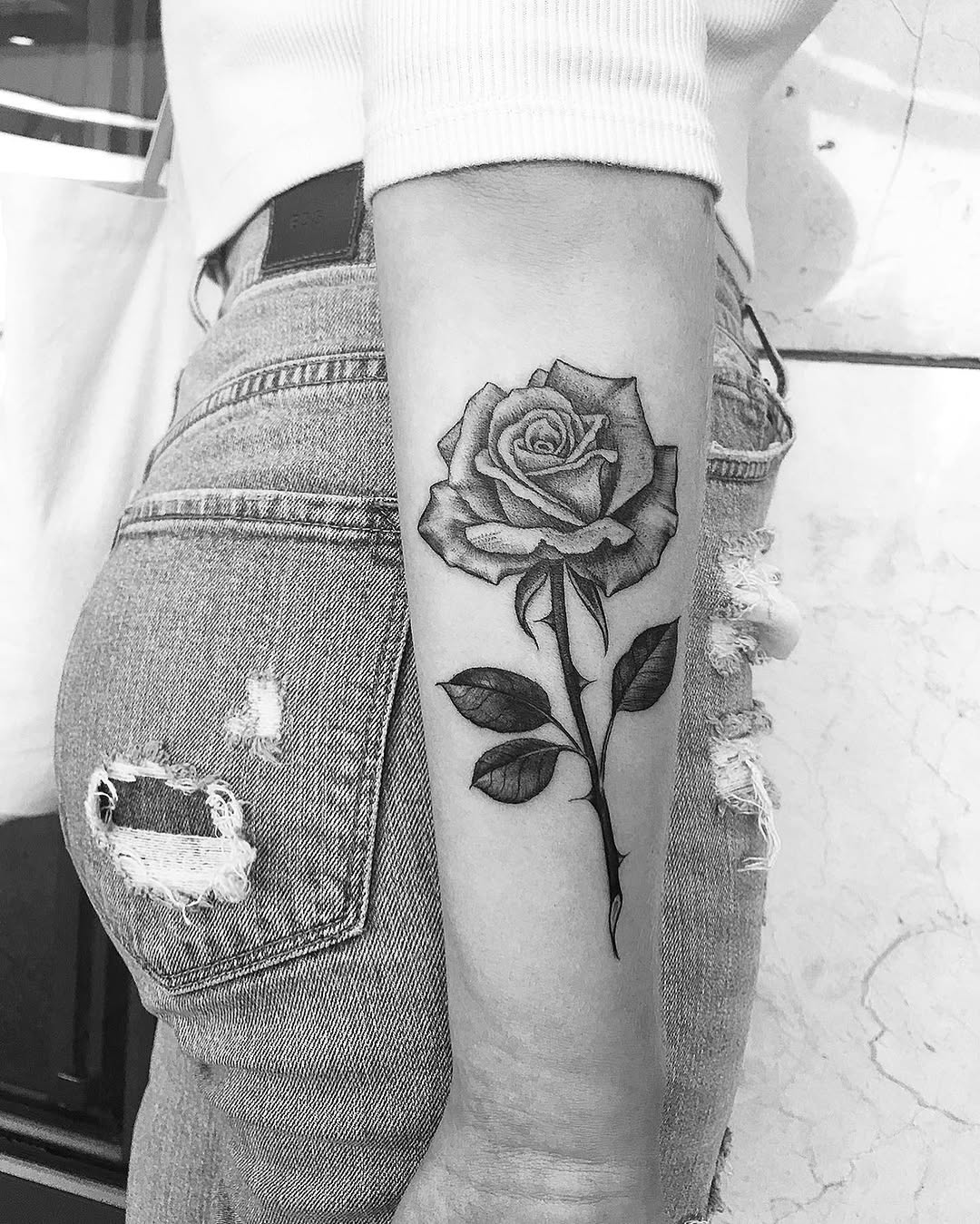 Flower, Rose