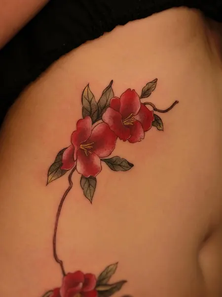 벚꽃, Flower, Rose, 매화
