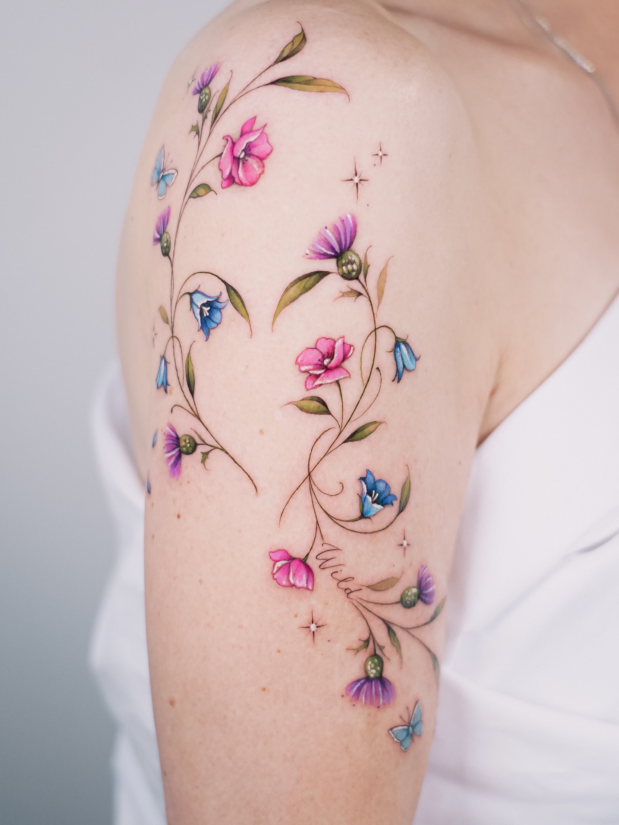 Flower, Rose