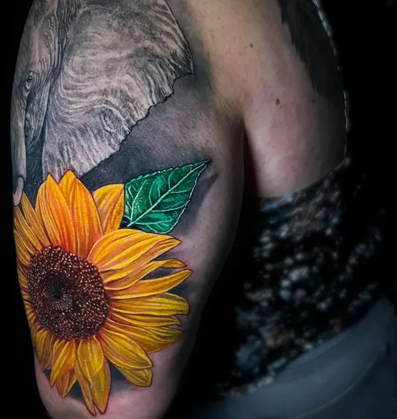 Flower, 해바라기