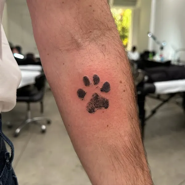Animal