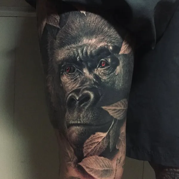Tiger, Animal