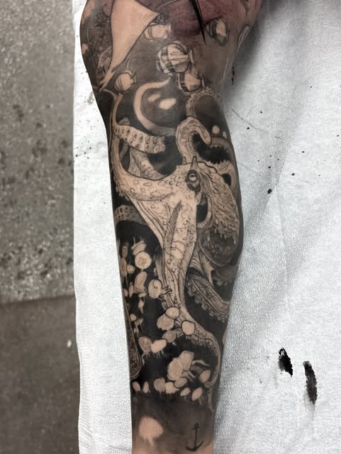 Animal, Dragon