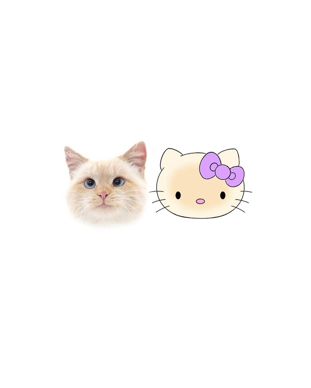 tatti_seoul