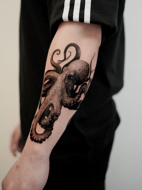 Animal, 크라켄, 문어, 오징어