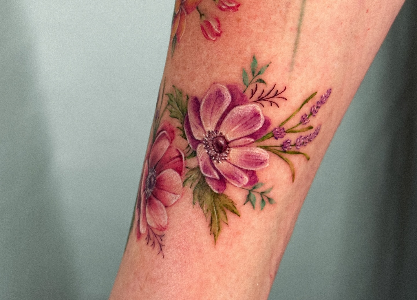Flower, Rose